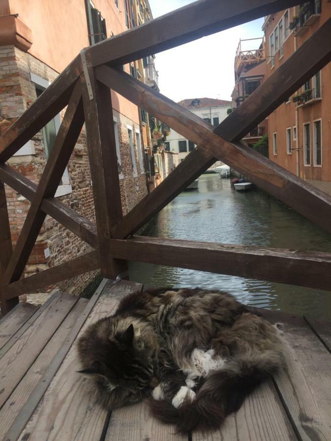 Tintoretto 1 Con Terrazza Sopra Il Tetto, 3 Bagni, 3 Grandi Camere Da Letto, Super Nuovo Venetië Buitenkant foto